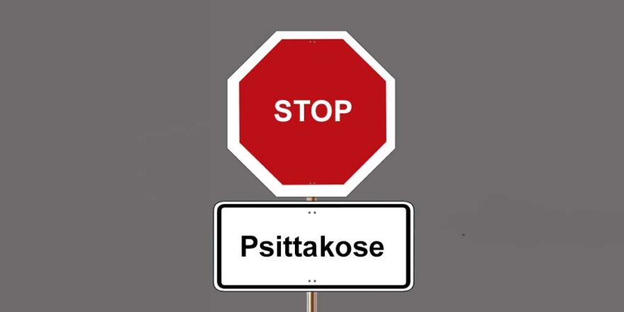 Stopp! Psittakose bei Wellensittichen