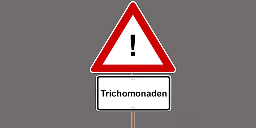 Wellensittiche Trichomonaden